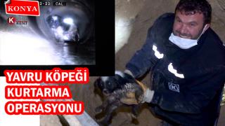 Yavru Köpeği Kurtarma Operasyonu