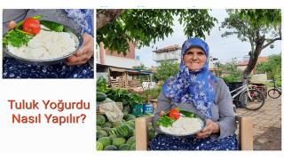 Tuluk Yoğurdu Yapımı